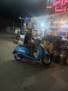 فلافل فلاسیس