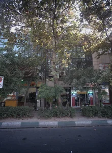 خشکبار تواضع 2
