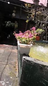 رستوران فاخته 4