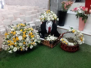 امین هاشمی