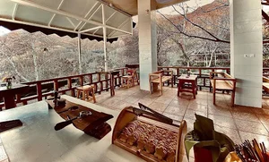 کافه بال Cafe Bal