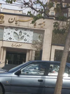 بیمه پارسیان 3