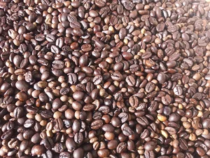 الیزا اسپرسو