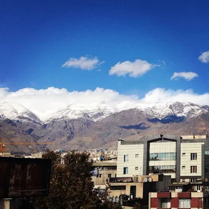 گروه همگردی