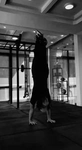 باشگاه ورزشی s gym 5