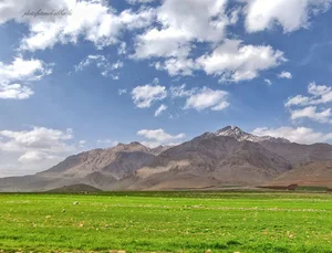 بوستان سعدیه