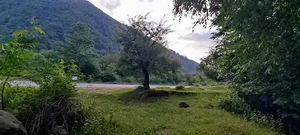 امامزاده شیخان