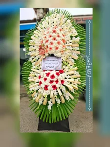 گلکده ترنم 2