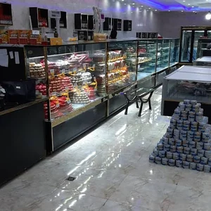 شهر پروتیین یزدان