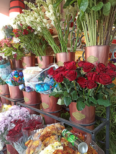 گلفروشی رز سیاه