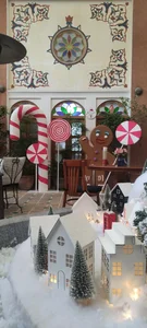 رستوران موسیو آراکل 5