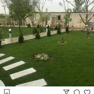 گروه طراحان فضای سبز رامش گل