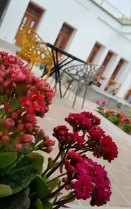 بوتیک هتل خانه صدیق 2