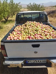 لوازم خانگی مسلم راجی