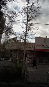 ظروف یکبار مصرف و قنادی فرجام 2