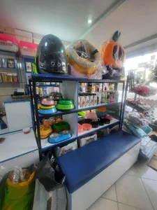 پت شاپ کیت کت