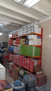 الکتریکی محسن