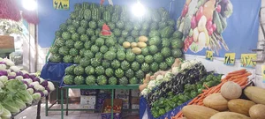 Bahman super fruit