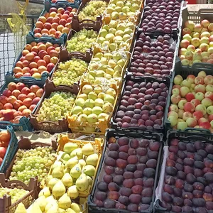 بساط میوه عمو مصی