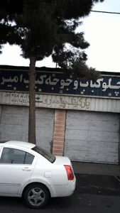 چلو کباب و جوجه کباب امیر 2
