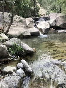 مسیرچال ماهی به آبشار