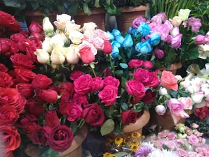 گل فروشی سهیل