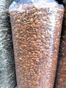 آجیل خشکبار پورعباس 2