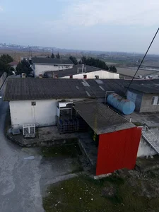 جوجه کشی زرد کرک امل