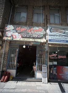 گلسرای جواد 2