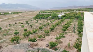 باغ خوئی