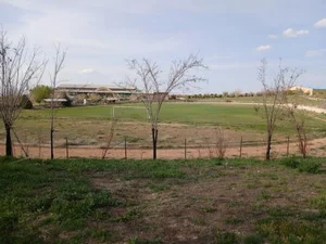 زمین چمن دانشگاه 4