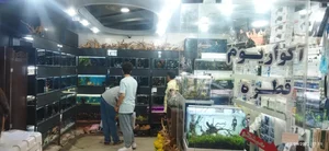آکواریوم قطره 3