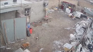مغازه الوند