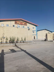 ماهگون