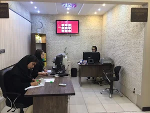 بینش نگاره