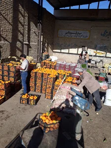 میدان میوه و تره بار