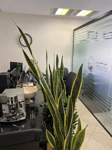 شرکت گروه طلایی پارس