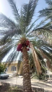 اداره هواشناسی