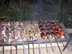 باغ نارنج و ترنج مهرزادرحیمی