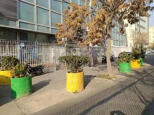 استخر دانشگاه شریف تهران 5