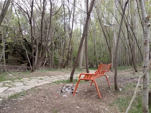 پارک جنگلی کناربر