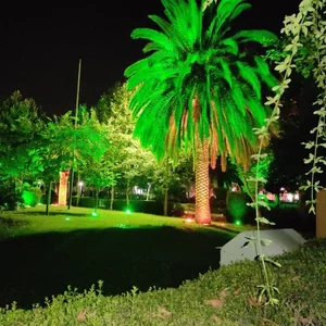 بوستان زنده یاد دامادی 4