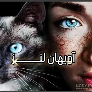 آویهان شاپ