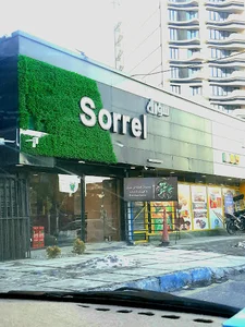 Sorrel