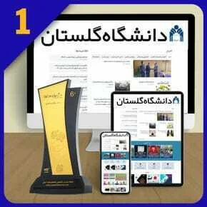 بهترین شرکت طراحی وب سایت در گرگان