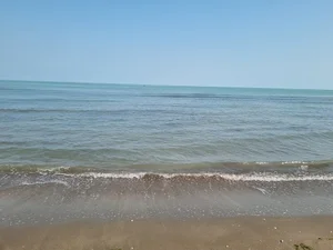 ساحل شنی دریای مازندران