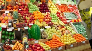 میوه فروشی فصلی