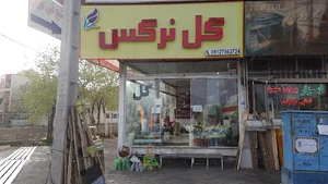 گل نرگس