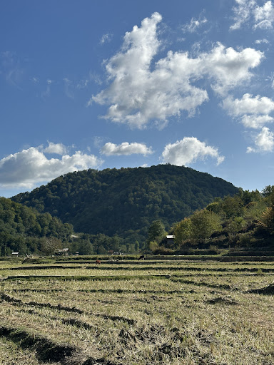امیرکلا