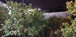 مطب دکتر جهان بین ،متخصص اعصاب